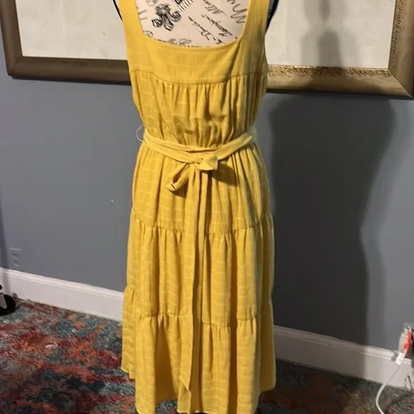 Slate & willow beautiful double lined dress. Elastic waist - Picture 3 of 8